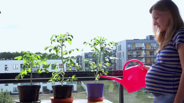 Pregnant woman water plants flowers with watering can in balcony — Stock Video