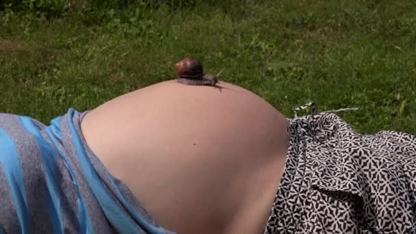 Stor snigel krypa på gravid kvinna magen — Stockvideo