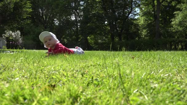 Malé novorozeně ležela na trávě trávníku a výzkum. 4k — Stock video