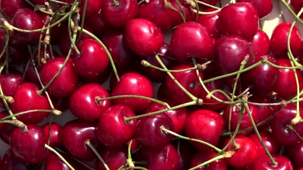 Bayas rojas maduras naturales de cereza. Giradiscos giratorios — Vídeo de stock