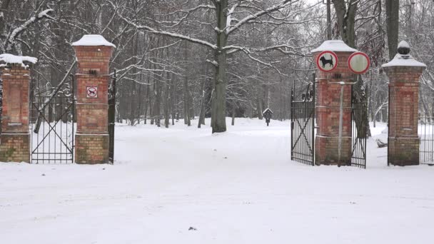 Відкриті червоні цегляні паркові ворота взимку. 4-кілометровий — стокове відео