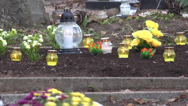 Yellow candle burning on grave earth in cemetery. 4K — Stock Video