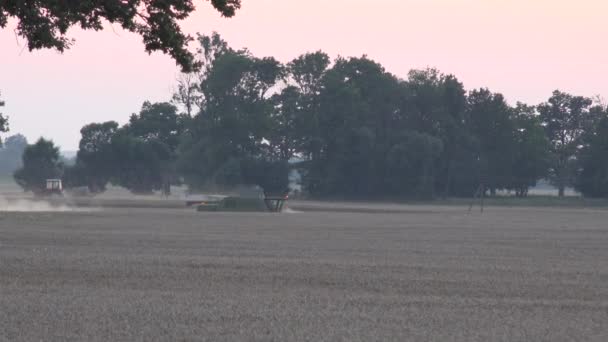 Mähdrescher arbeiten im Weizenfeld bei Sonnenuntergang. 4k — Stockvideo