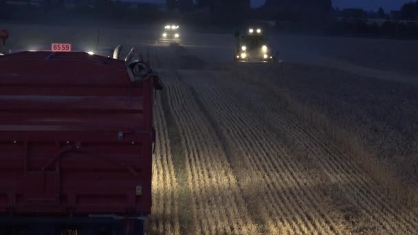 Caminhão stand na palha e colheitadeira máquina com luzes cultivar milho de cereal campo à noite. 4K — Vídeo de Stock