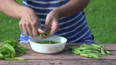 kız parmak plaka ahşap tablo açık taze bezelye soyulmuş. 4k 