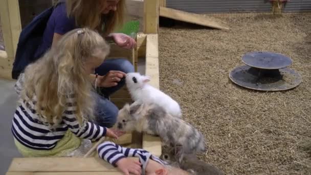 Familie die konijnen voert op de boerderij. Kinderen met mama op bezoek in de dierentuin. Gimbal beweging — Stockvideo