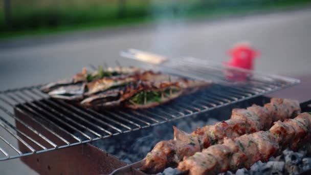 Fleisch und Fisch kochen auf dem Grill. Rauch steigt aus Kamin auf — Stockvideo