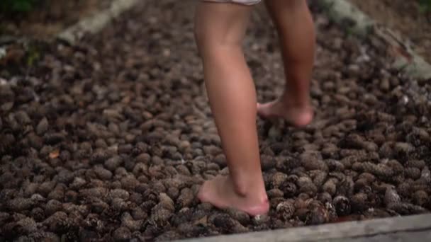 Niña descalza caminando por el camino con conos de abeto. Prevención de enfermedades . — Vídeos de Stock