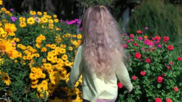 Linda chica con el pelo rubio rizado tocando flores de colores florece en verano — Vídeos de Stock