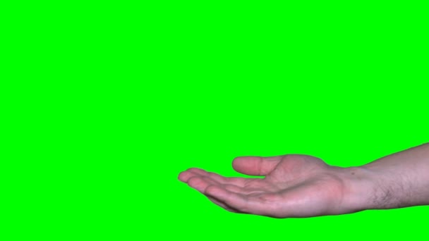 Бізнесмен, проходячи ключ від квартири до жінки рука ізольована на зеленому фоні — стокове відео