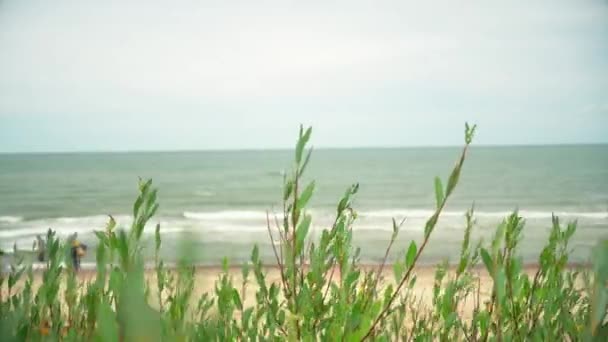 Ramos Bush movendo-se no vento e turístico turvo pessoas na praia do mar — Vídeo de Stock