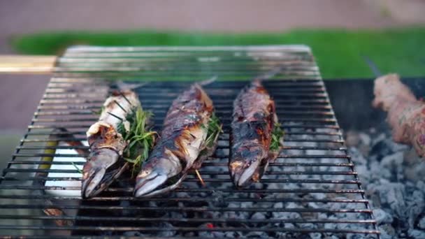 Scomber Fische und Schweinefleisch Schaschlik auf dem Grill. Rauch steigt aus Kamin auf — Stockvideo