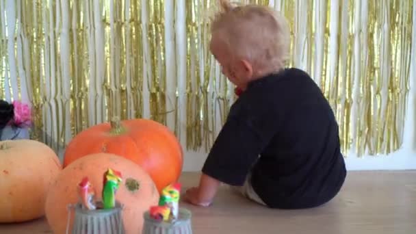 Divertido niño pequeño con peine dar la vuelta sentado cerca de calabazas en Halloween — Vídeos de Stock