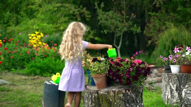 Милая маленькая девочка с кудрявыми светлыми волосами поливает цветочные горшки лейкой — стоковое видео