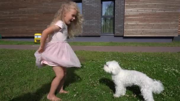 Lindo niño en vestido rosa alimentación bichon blanco perro mascota en el patio de la casa. Gimbal tiro — Vídeos de Stock