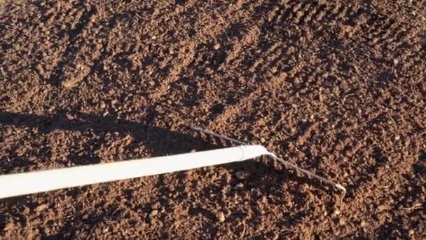 Râteau outil nivellement du sol dans le jardin ou champ de ferme. Gros plan tenu à la main .