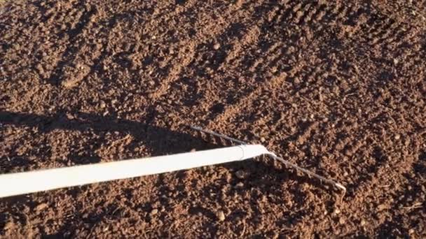 Hark gereedschap nivelleren grond in de tuin of boerderij veld. Handheld close-up schot. — Stockvideo