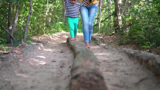 Barefoot woman leading her child boy through tree log on healthy sensory path — Stock Video