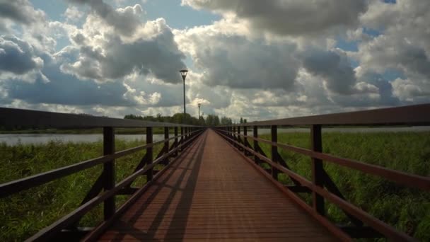 Empty wooden footbridge walking. Bridge connecting two shores of lake — 비디오