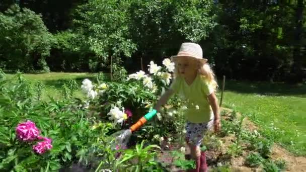 Jong meisje verwatert bloemen met sproeier in de tuin. Gimbal beweging — Stockvideo
