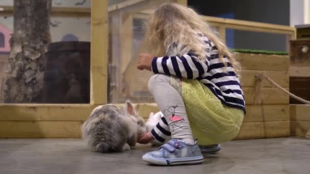 Niño rubio alimentando conejo en la granja del zoológico. Movimiento del cardán — Vídeos de Stock