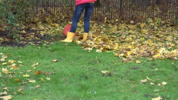 Женщины грабли кленовые листья в саду в день. Сезонная работа. 4K — стоковое видео