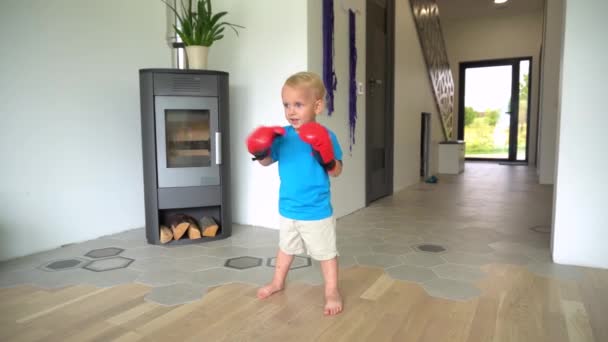 Söt pojke med boxningshandskar hemma. Gimbal rörelse — Stockvideo