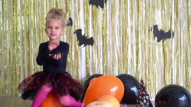 Brave preschooler girl sit on pumpkin and stroke caress big spider with hand — Stock Video