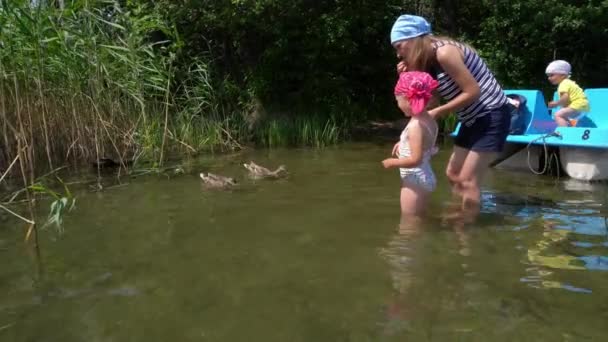 Mère avec sa fille nourrissant les canards oiseaux. frère en catamaran. Mouvement du cardan — Video