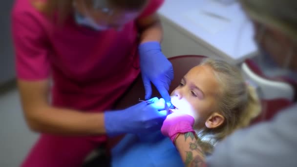 Опытный дантист осматривает зубы маленькой пациентки металлическим инструментом — стоковое видео