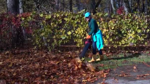 Bahçe bekçisi kadın yaprakları yolumdan çekiyor. — Stok video