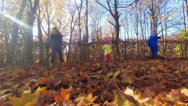 Счастливая семья сгребает листья. Отец мать и ребенок работают в саду. Timelapse — стоковое видео