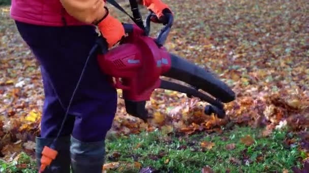 Мужчина с листовым выдувом машина грабли красочные листья в саду — стоковое видео