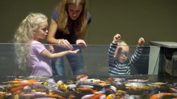 Женщина с детьми кормит красочных рыб в большом аквариуме. Гимбальное движение — стоковое видео