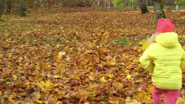 Camera following little girl running through autumn colorful park. Gimbal follow — 图库视频影像