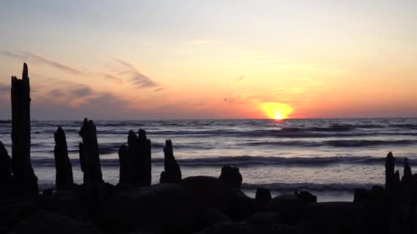 Abandoned old pier stones and logs and orange sunset on background — Αρχείο Βίντεο
