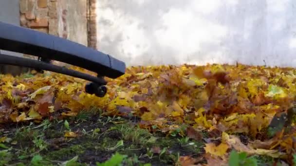 Limpieza de las hojas de otoño con un soplador de hojas — Vídeo de stock