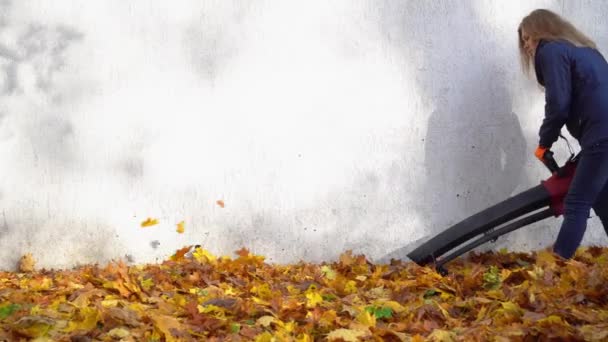 Mulher usando a ferramenta elétrica do ventilador da folha para soprar folhas do outono perto da casa — Vídeo de Stock