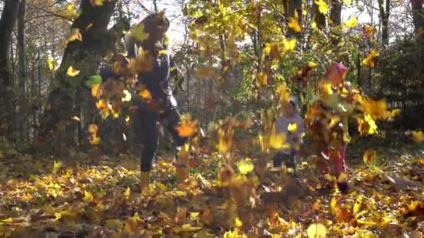 Maman et ses enfants s'amusent à jouer dans le parc d'automne — Video