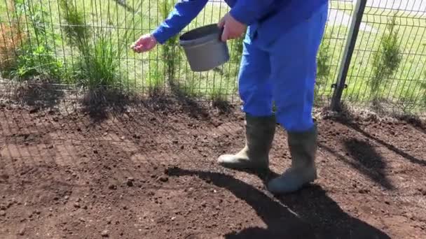 Невпізнаваний чоловік посіяв траву на родючій землі у дворі квартири. кишеньковий — стокове відео
