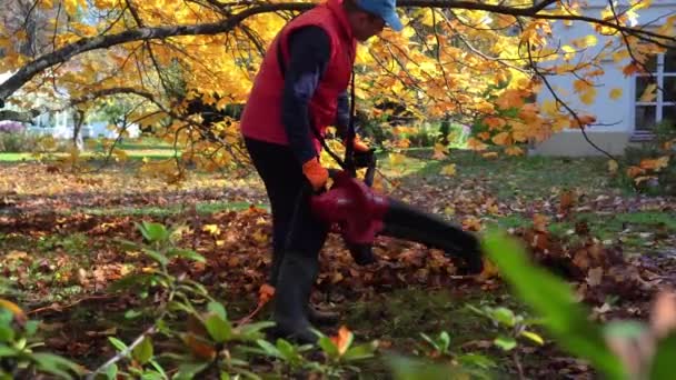 Huishoudster blaast bladeren in zijn eigen tuin. Kerel met bladblazer — Stockvideo