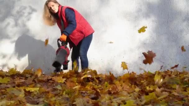 Blanke vrouw met bladblazer aan het werk in de achtertuin. Gimbal motie — Stockvideo