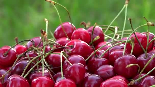 Frische Kirschbeeren Drehscheibe im Uhrzeigersinn erschossen. 4K — Stockvideo