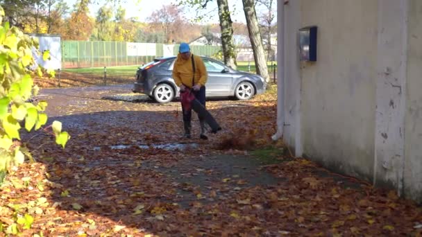 Tuinman met bladblazer reinigingspad van kleurrijke herfstbladeren — Stockvideo