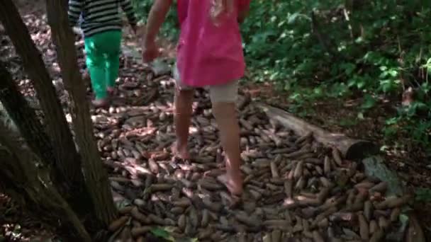 Blote voeten familie zoon, dochter en moeder lopen op kegels pad — Stockvideo