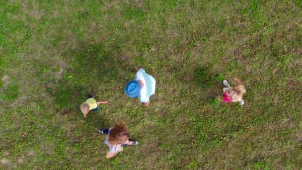 Speelse familie ouders en kleine kinderen hebben plezier op het park weide. Luchtfoto — Stockvideo