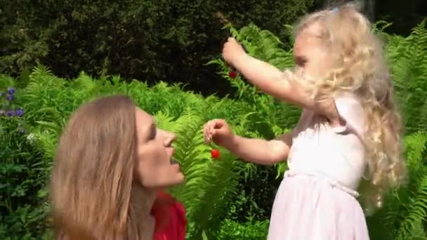 Милая блондинка кормит свою любящую мать ягодами вишни в саду — стоковое видео