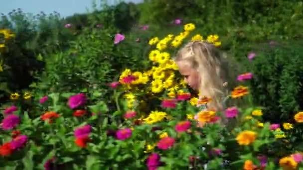 Malý anděl dívka kráčející mezi barevnými květy v zahradě — Stock video