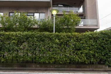 Sokak duvarında kocaman boş bir ilan panosu, kendi metnini ekleyebileceğin pankartlar.