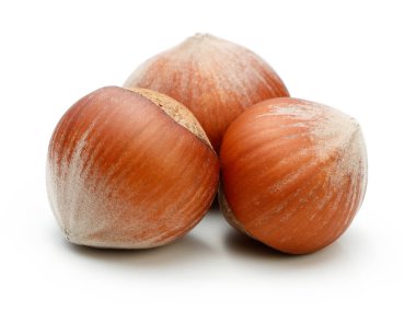 Üçlü fındık grup